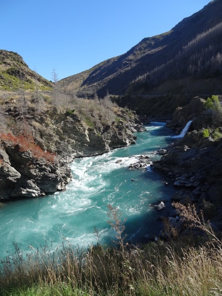 Landscape of New Zeland-Roaring 