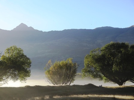 Landscape of New Zeland - Lake and Sheep 