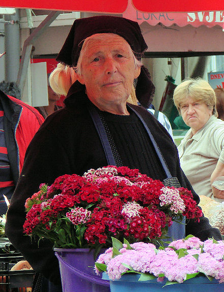 Cvje�arica s Volov�ice