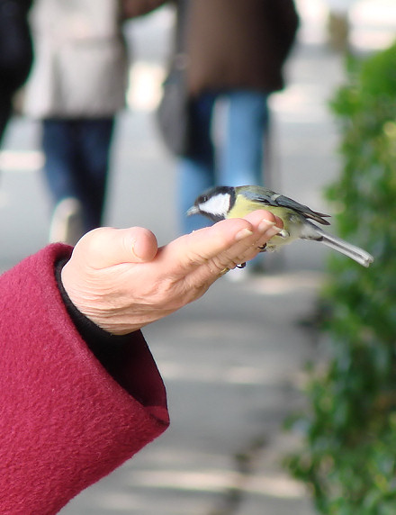 Svakodnevna briga i ljubav prema onima koje volimo osnova je povjerenja
